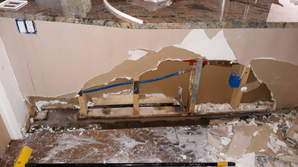 Best Water damage restoration mold remediation  in Citrus Heights, CA