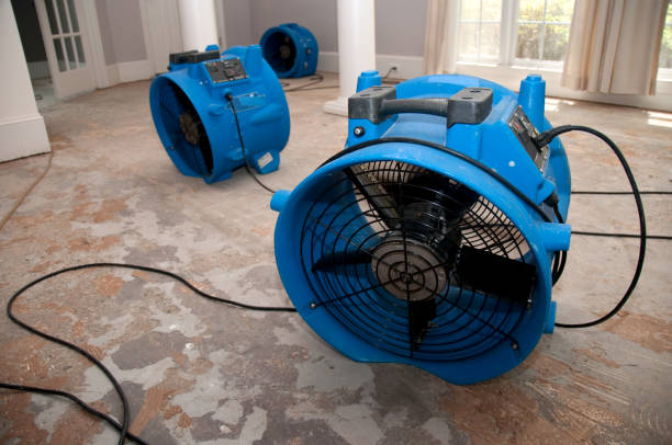 Best Water damage restoration near me  in Citrus Heights, CA