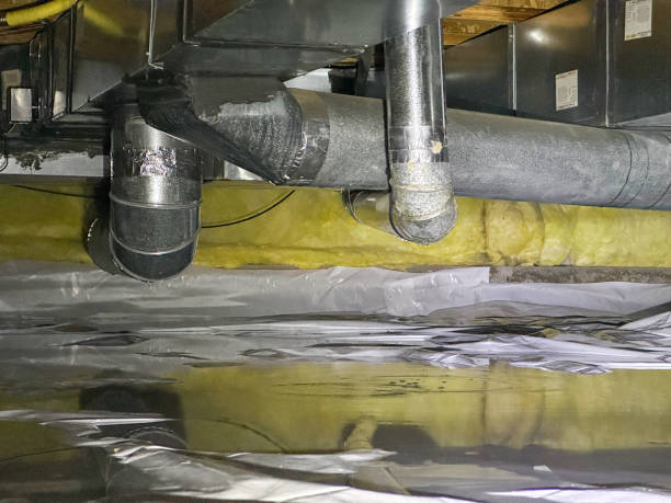 Best Professional water damage repair  in Citrus Heights, CA