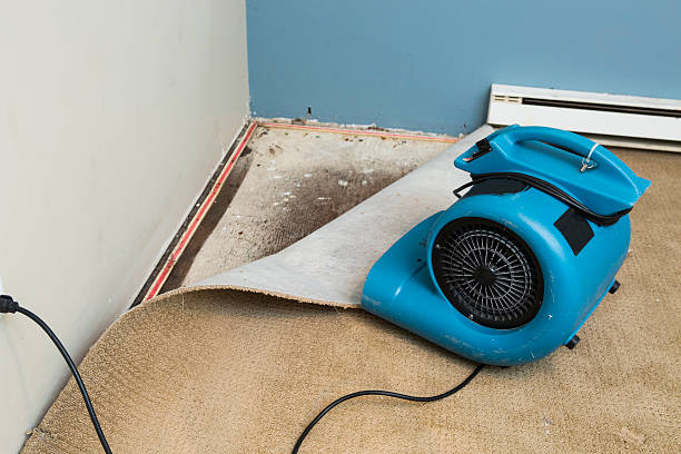 Best Water damage restoration near me  in Citrus Heights, CA